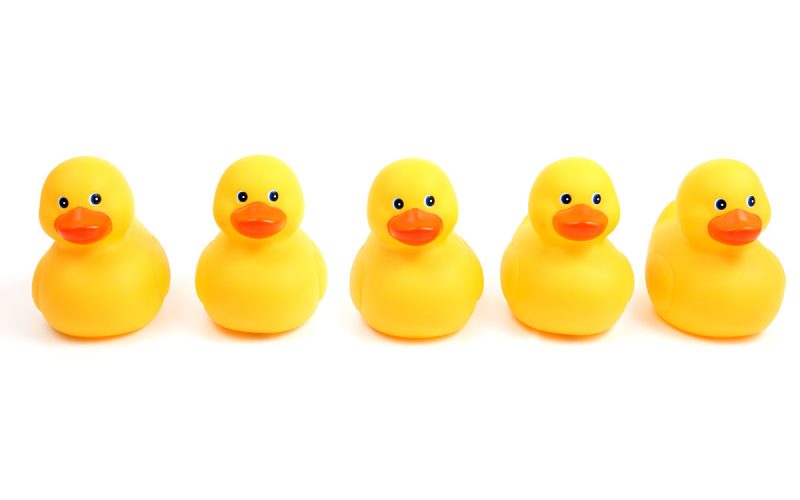 ducks
