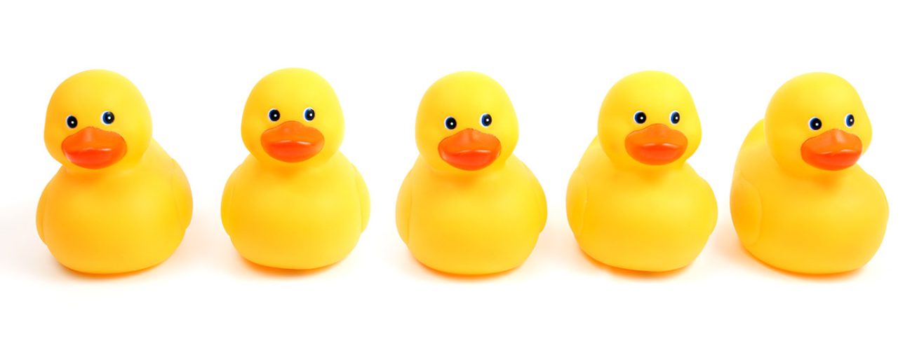 ducks